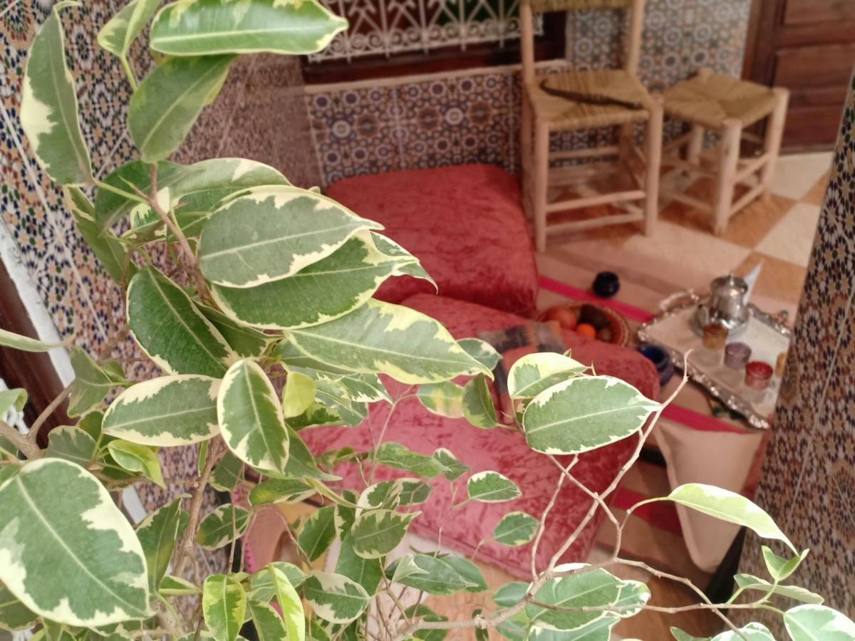 Riad White House Marrakesh Bagian luar foto